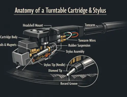 The Anatomy of a Turntable Stylus, Needle, and Cartridge: